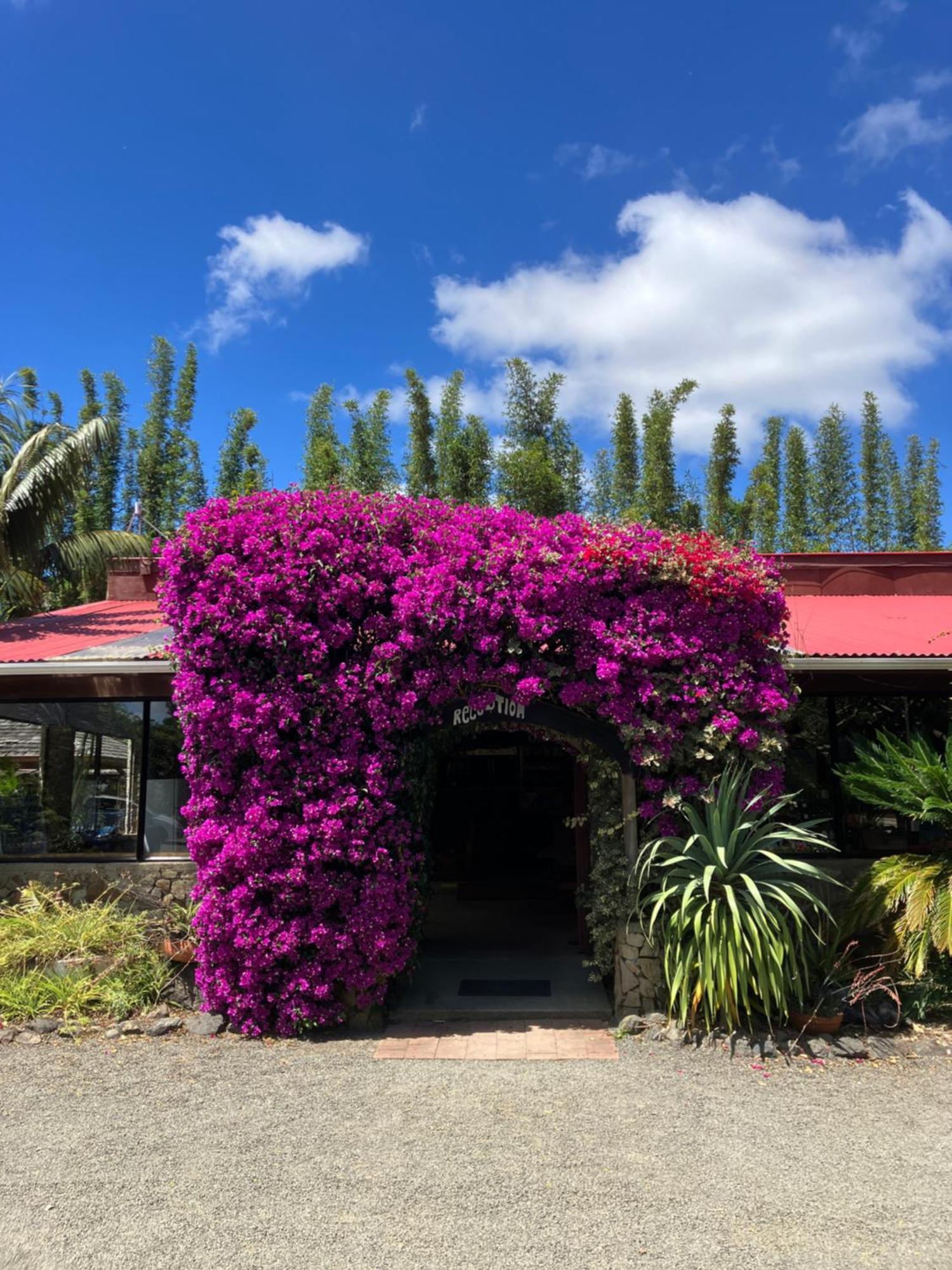 Ahipara Holiday Park Exterior foto